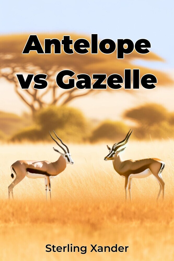 Antelope vs Gazelle main product photo