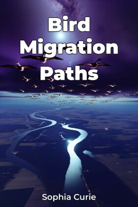 Bird Migration Paths