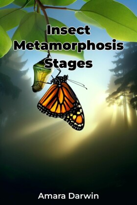 Insect Metamorphosis Stages