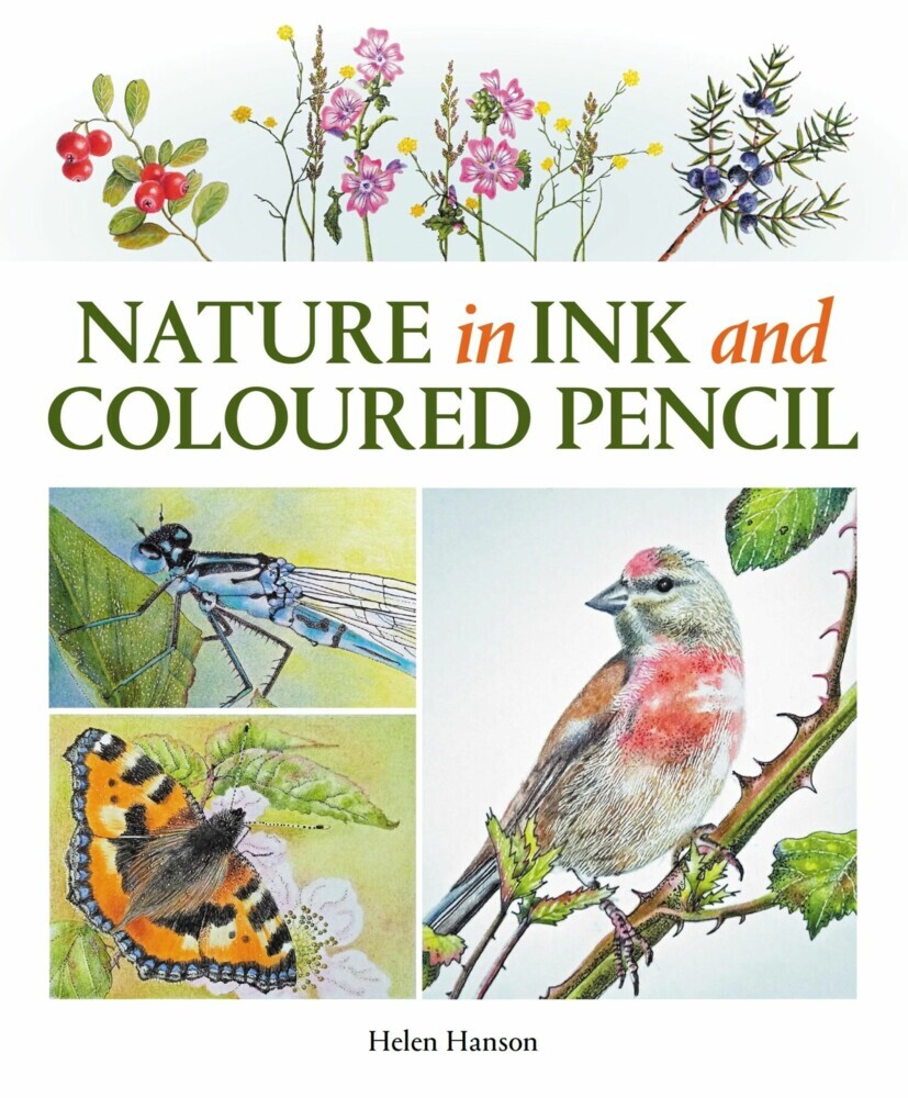 Nature in Ink and Coloured Pencil main product photo