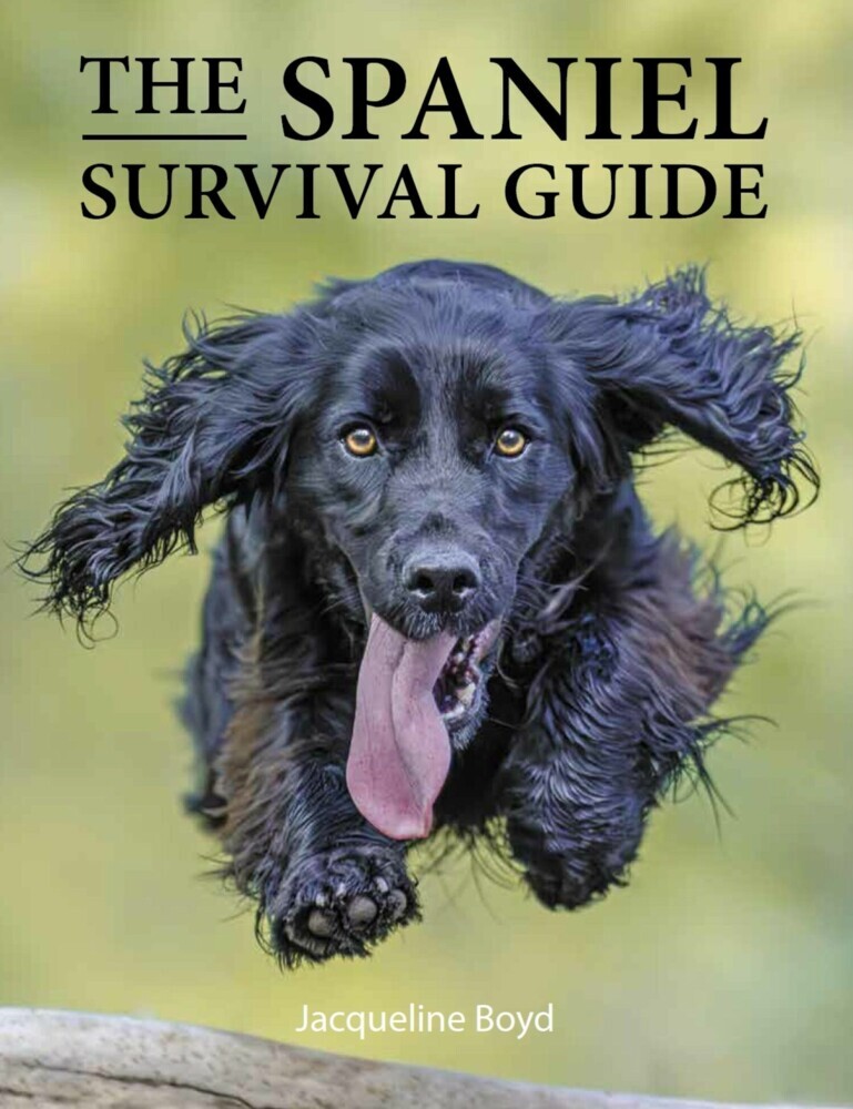Spaniel Survival Guide main product photo