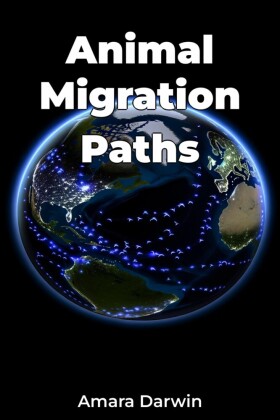 Animal Migration Paths