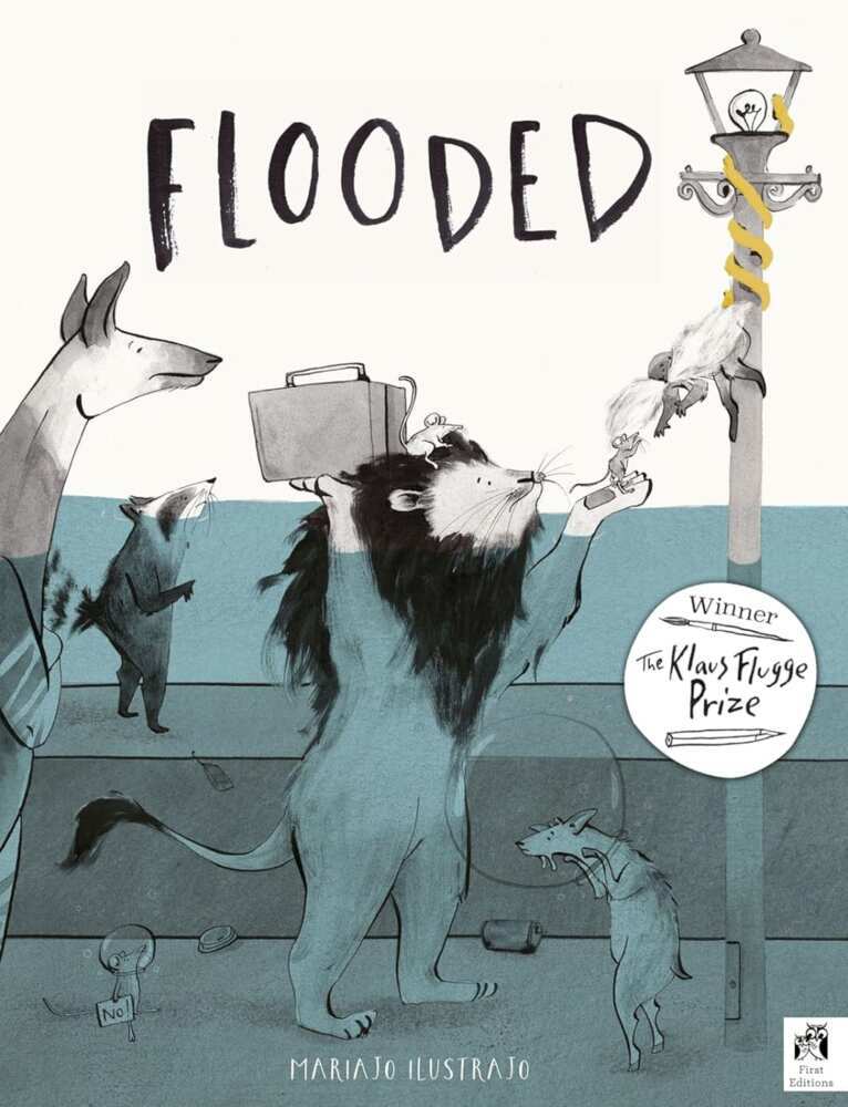 Flooded main product photo