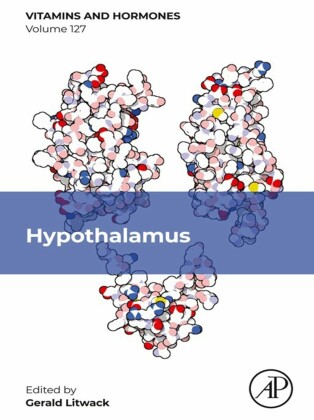 Hypothalamus