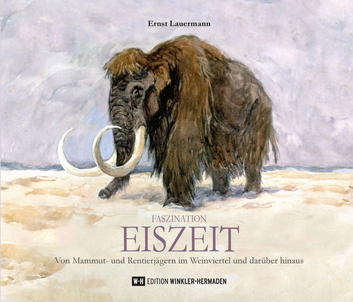 Faszination EISZEIT main product photo