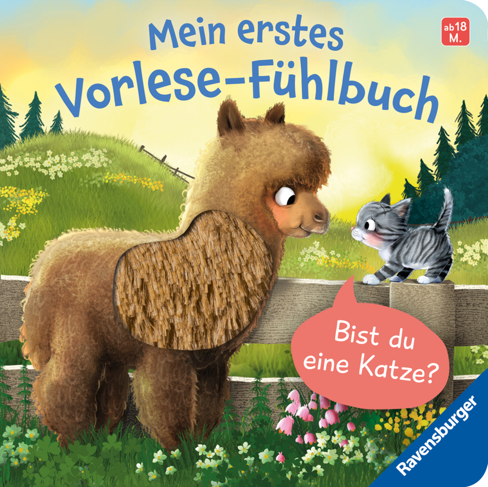 Mein erstes Vorlese-Fühlbuch - Bist du eine Katze? main product photo
