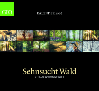 GEO Kalender: Sehnsucht Wald 2026 - Wand-Kalender - Natur-Kalender - 60x55