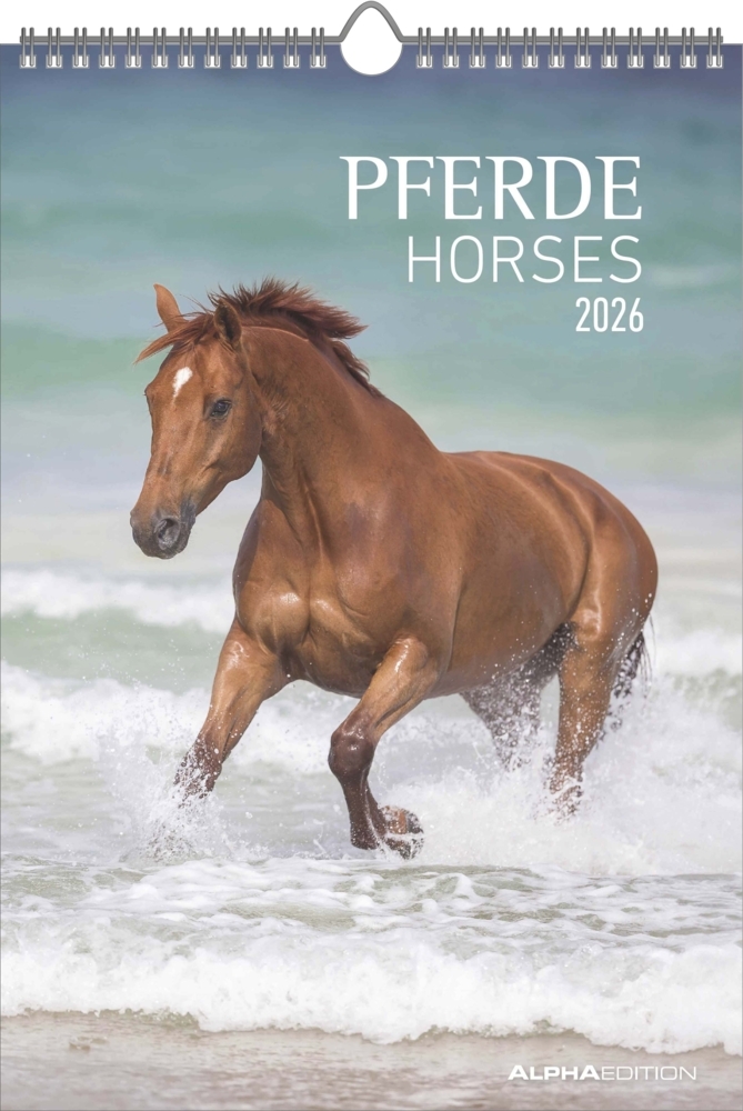 Pferde 2026 - Bildkalender 23,7x34 cm - Kalender mit Platz für Notizen - mit vielen Zusatzinformationen - Horses - Wandkalender - Alpha Edition main product photo