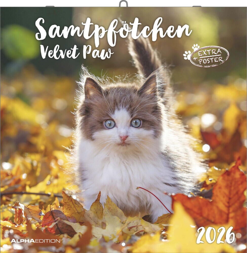 Samtpfötchen 2026 - Broschürenkalender 30x30 cm (30x60 geöffnet) - Kalender mit Platz für Notizen - inkl. herausnehmbarem Poster - Bildkalender main product photo