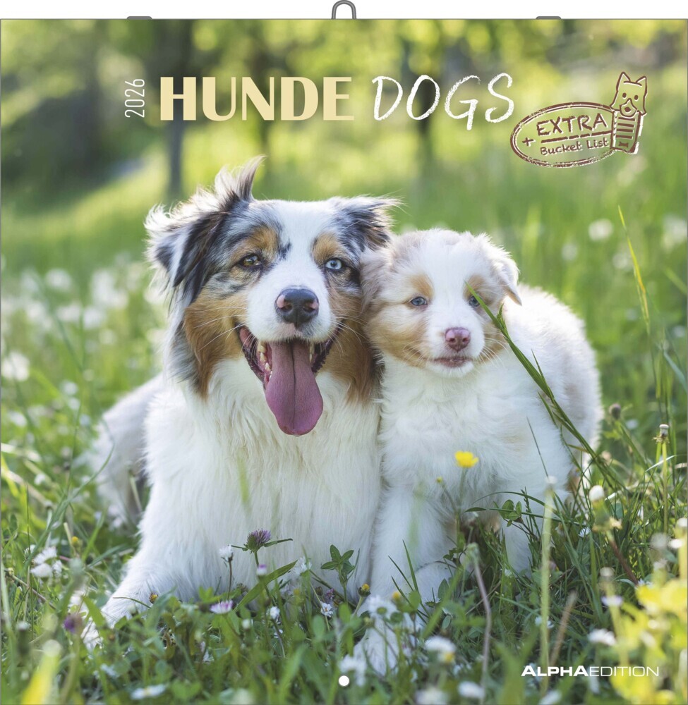 Hunde 2026 - Broschürenkalender 30x30 cm (30x60 geöffnet) - Kalender mit Platz für Notizen - Dogs - Bildkalender - Wandkalender - Hundekalender main product photo
