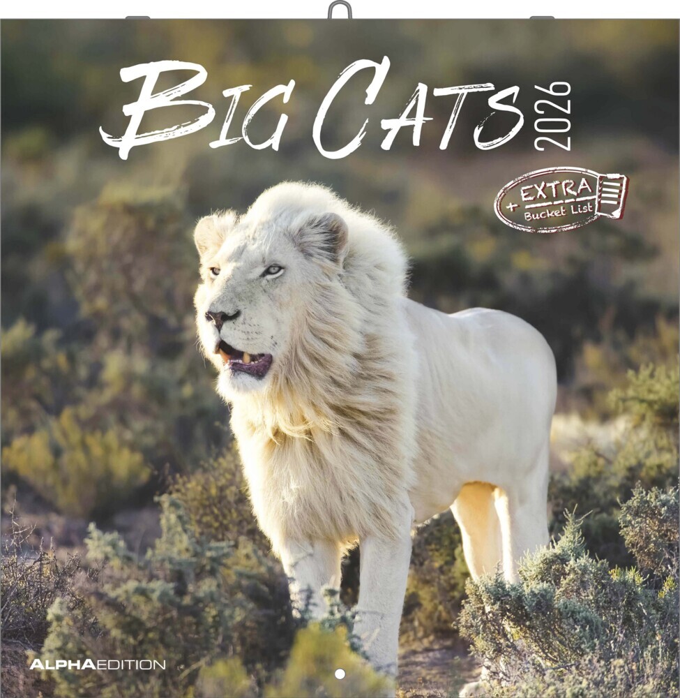 Big Cats 2026 - Broschürenkalender 30x30 cm (30x60 geöffnet) - Kalender mit Platz für Notizen - Big Cats - Bildkalender - Wandplaner - Alpha Edition main product photo