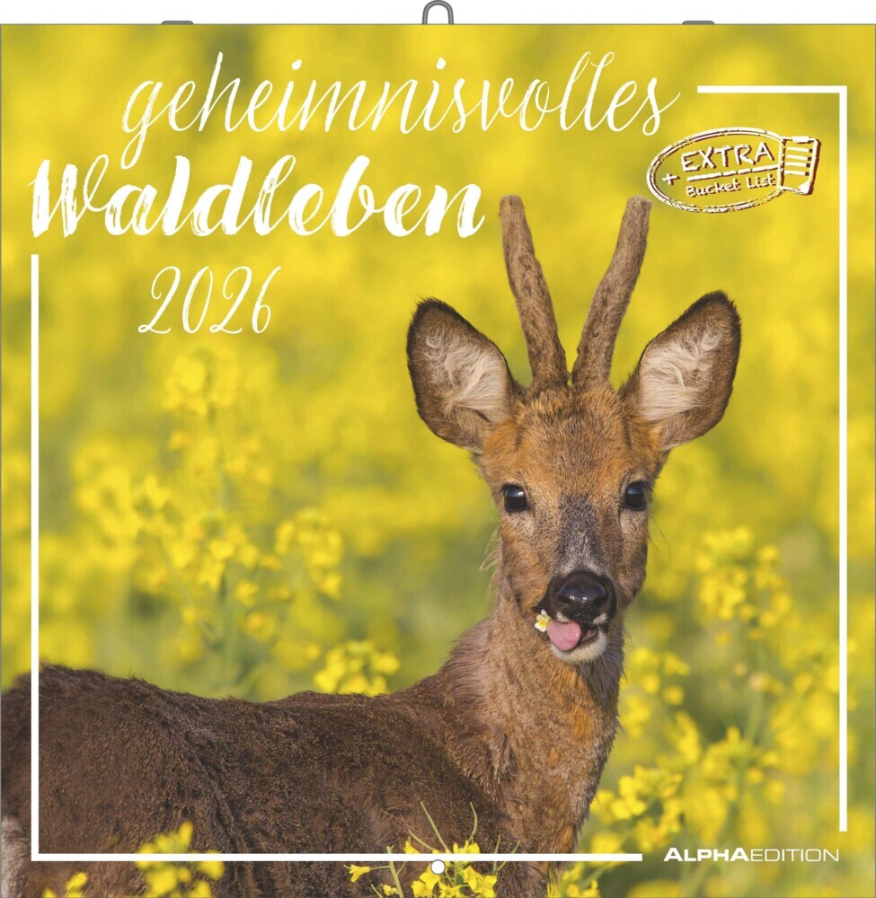 Geheimnisvolles Waldleben 2026 - Broschürenkalender 30x30 cm (30x60 geöffnet) - Kalender mit Platz für Notizen - Forest Animals - Bildkalender - Wandkalender main product photo