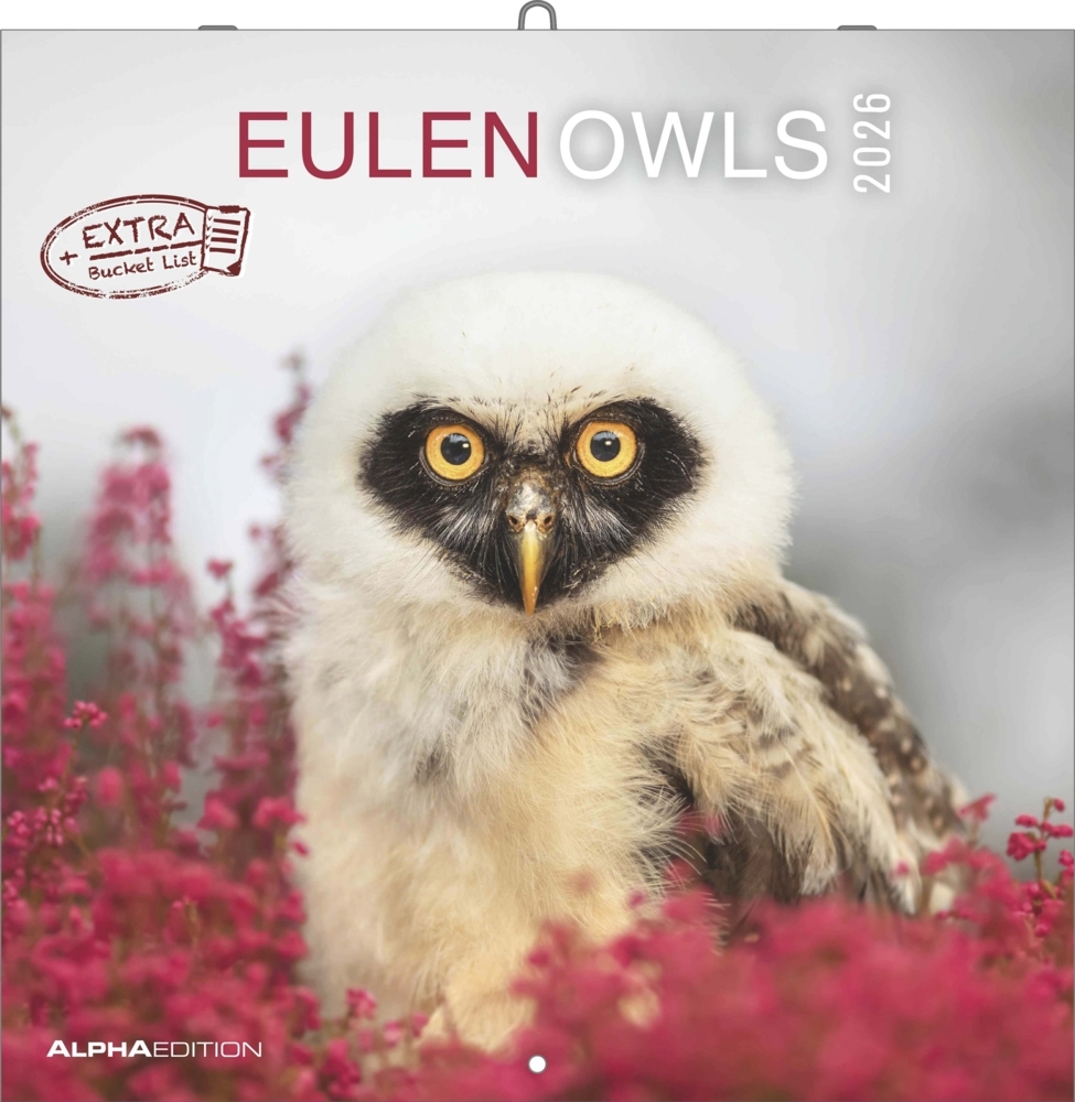 Alpha Edition - Eulen 2026 Broschürenkalender, 30x30cm, Wandkalender mit Platz für Notizen und Termine, beeindruckende Eulen-Motive, Monatsübersicht und Ferientermine DE/AT/CH main product photo