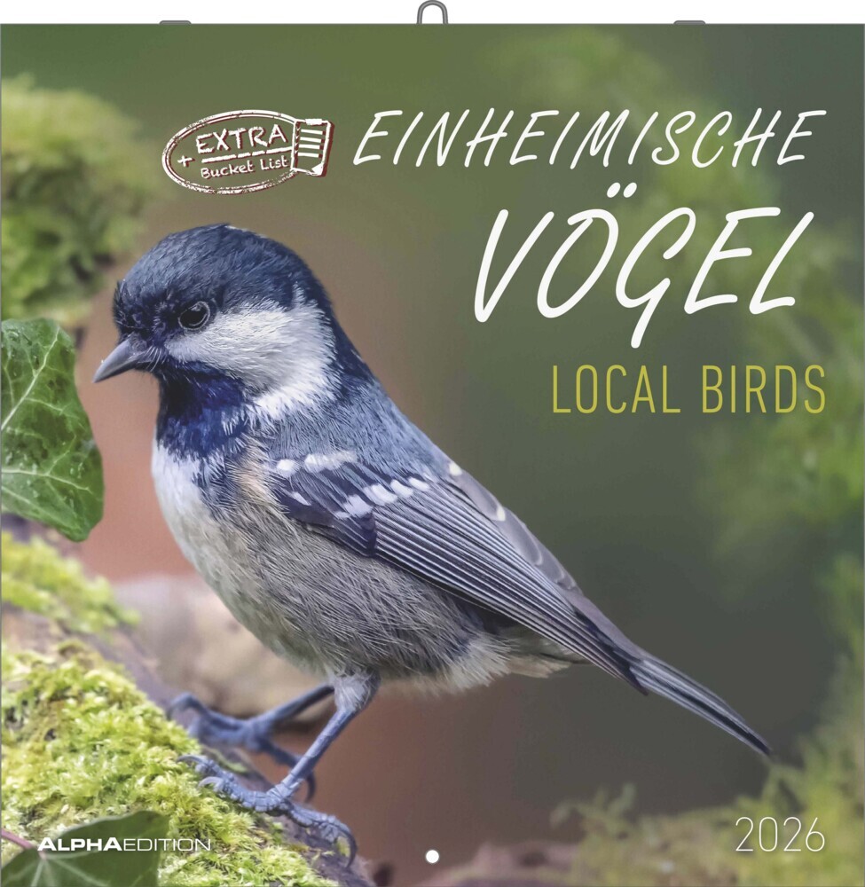 Einheimische Vögel 2026 - Broschürenkalender 30x30 cm (30x60 geöffnet) - Kalender mit Platz für Notizen - Birds - Bildkalender - Wandkalender - Vogelkalender main product photo