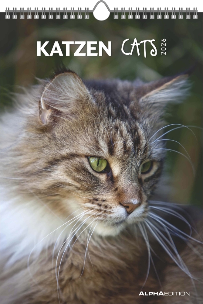 Katzen 2026 - Bildkalender 23,7x34 cm - Kalender mit Platz für Notizen - mit vielen Zusatzinformationen - Cats - Wandkalender - Alpha Edition main product photo