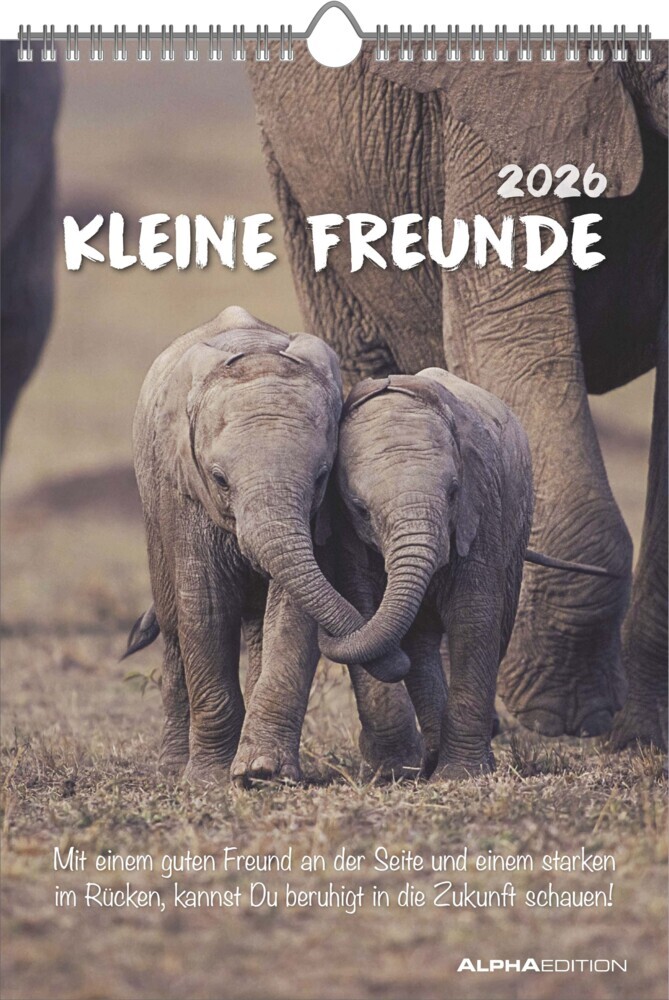 Kleine Freunde 2026 - Bildkalender 23,7x34 cm - Kalender mit Platz für Notizen - mit vielen Zusatzinformationen - Wandkalender - Alpha Edition main product photo