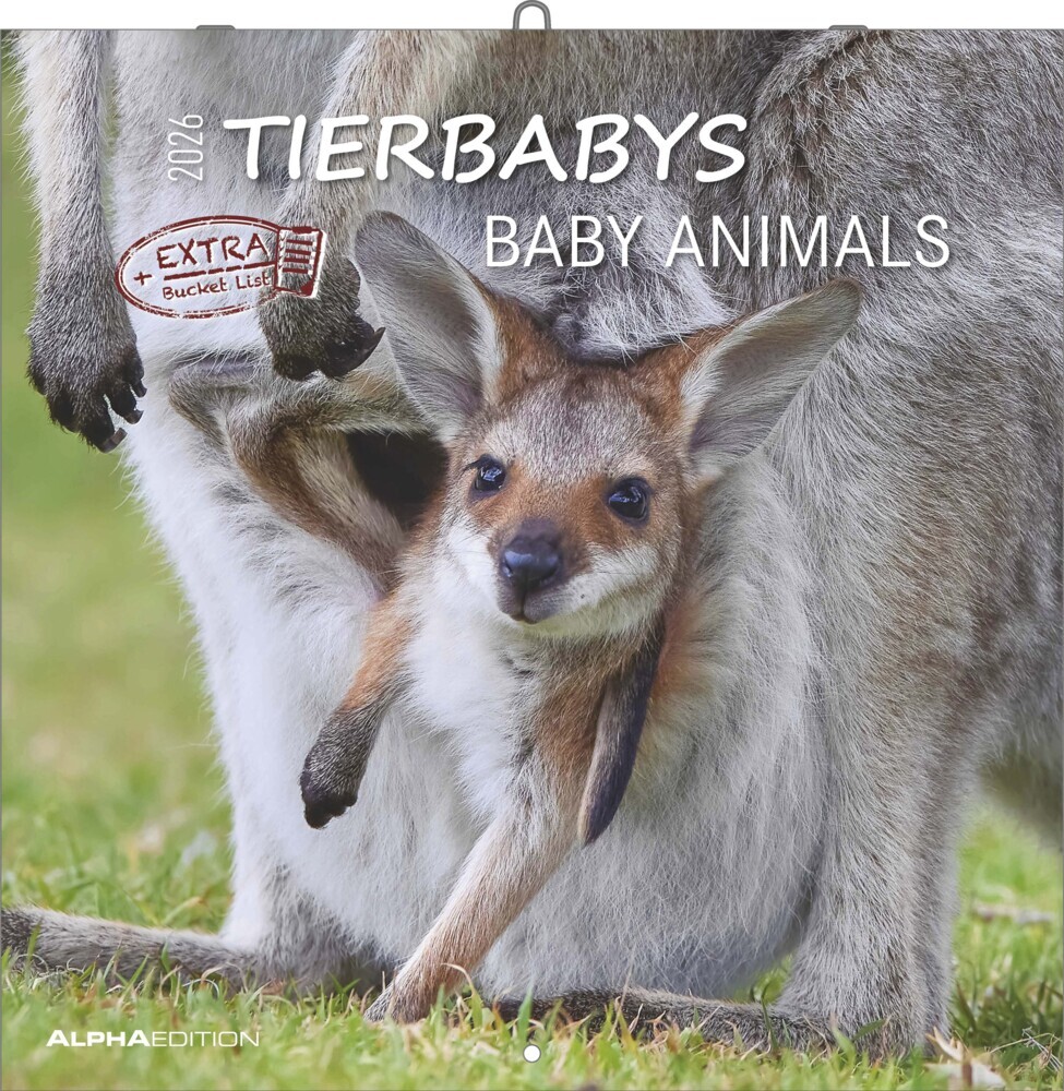 Tierbabys 2026 - Broschürenkalender 30x30 cm (30x60 geöffnet) - Kalender mit Platz für Notizen - Baby Animals - Bildkalender - Wandplaner - Alpha Edition main product photo