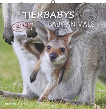 Tierbabys 2026 - Broschürenkalender 30x30 cm (30x60 geöffnet) - Kalender mit Platz für Notizen - Baby Animals - Bildkalender - Wandplaner - Alpha Edition