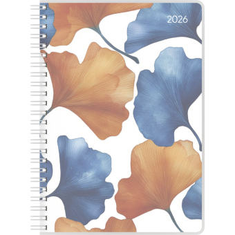 Ladytimer Ringbuch Watercolor 2026 - Taschen-Kalender A5 (15x21 cm) - Schüler-Kalender - Weekly - Ringbindung - 128 Seiten - Alpha Edition