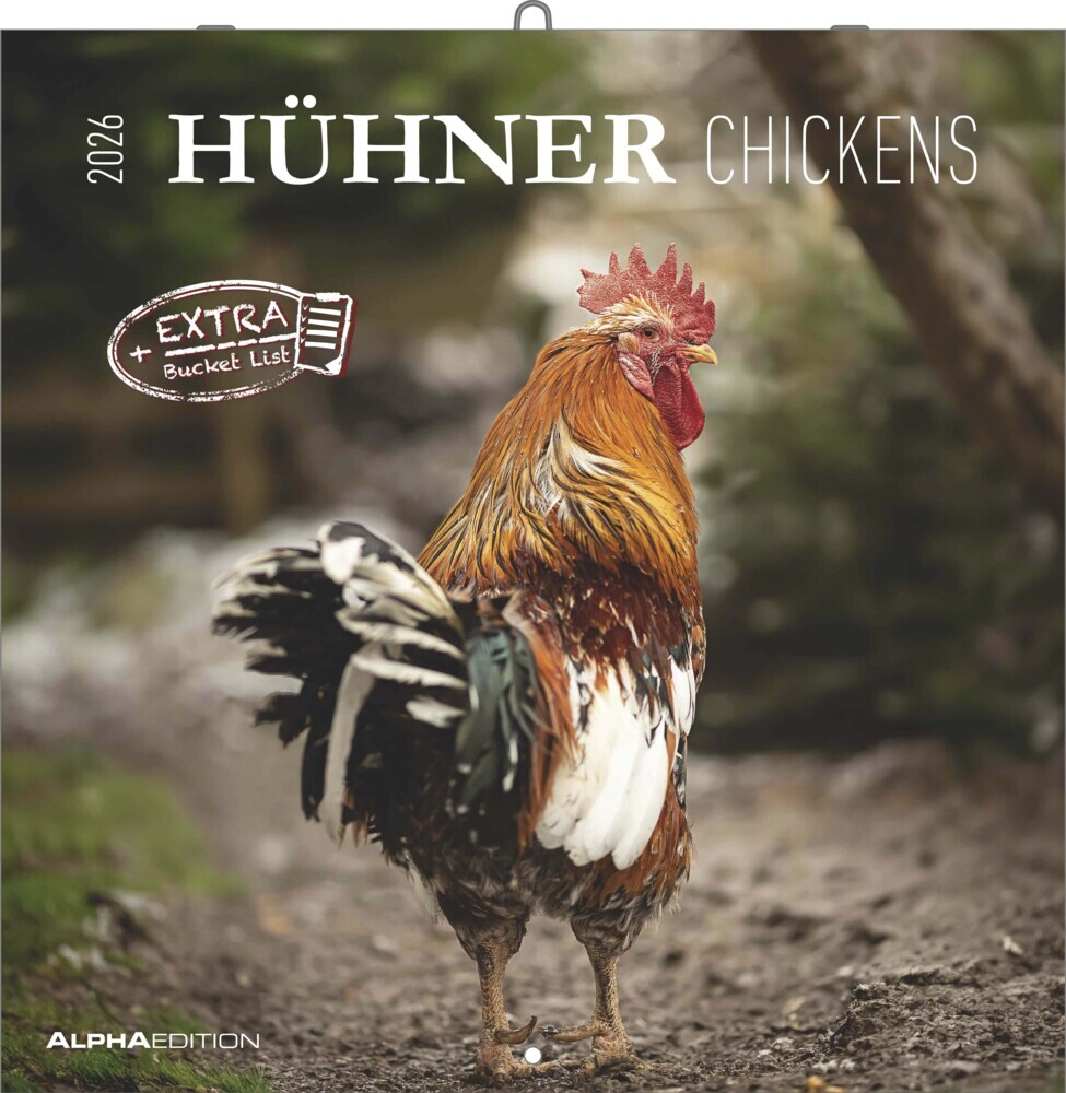 Hühner 2026 - Broschürenkalender 30x30 cm (30x60 geöffnet) - Kalender mit Platz für Notizen - Hühner - Bildkalender - Wandkalender - Hühnerkalender main product photo