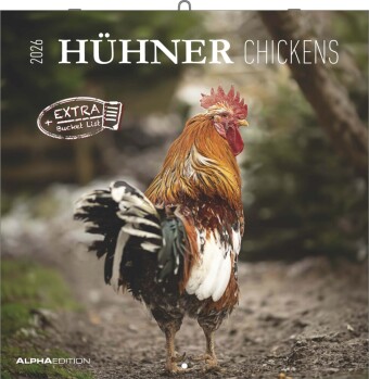 Hühner 2026 - Broschürenkalender 30x30 cm (30x60 geöffnet) - Kalender mit Platz für Notizen - Hühner - Bildkalender - Wandkalender - Hühnerkalender