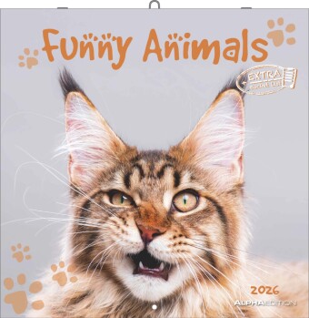 Funny Animals 2026  - Wand-Kalender - Broschüren-Kalender - 30x30 - 30x60 geöffnet