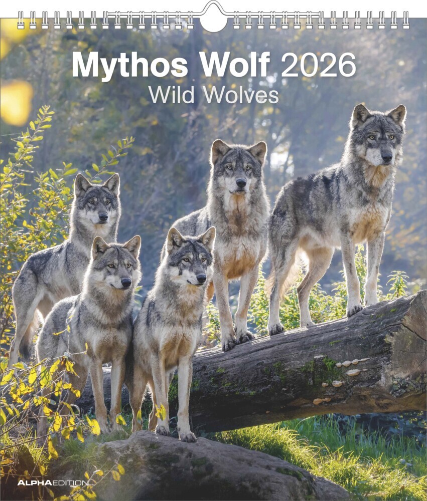 Mythos Wolf 2026 - Foto-Kalender - Wand-Kalender - 30x34 main product photo