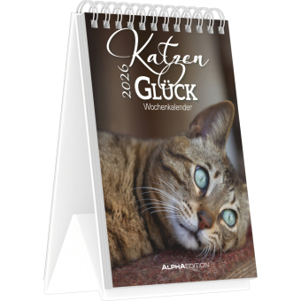 Katzenglück - Tischaufstellkalender mit 53 Motiven und Sprüchen im Format 10,5 x 14,8