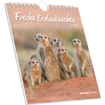 Freche Erdmännchen 2026 - Postkartenkalender 16x17 cm