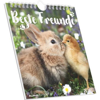 Beste Freunde 2026 - Postkartenkalender 16x17 cm