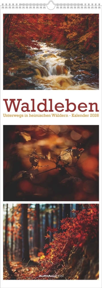 Waldleben - Triplets 2026 - Streifenkalender XXL 25x69 cm - Bildkalender im Hochformat - Naturkalender main product photo