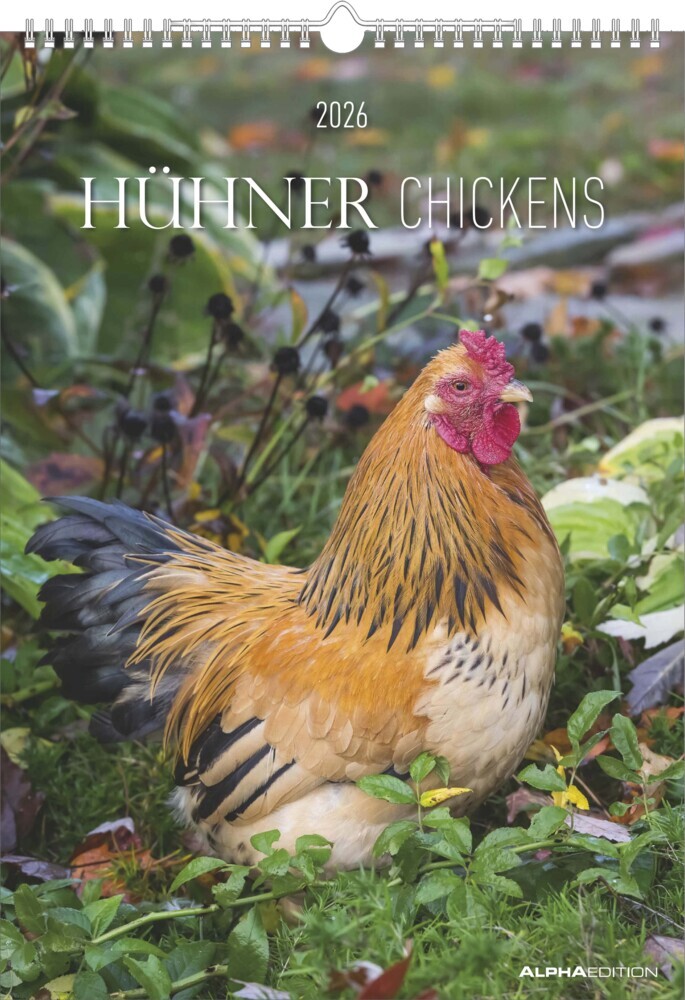 Hühner Kalender im Format 29,7 x 42 main product photo