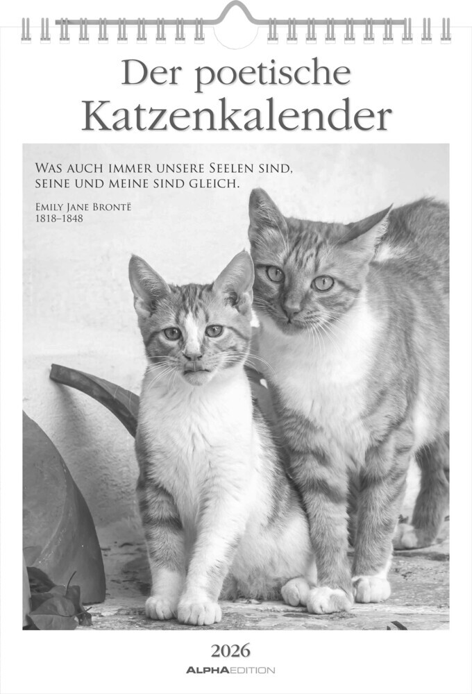 Der poetische Katzenkalender im Format 21 x 29,7 main product photo