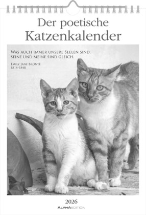 Der poetische Katzenkalender im Format 21 x 29,7