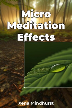 Micro Meditation Effects
