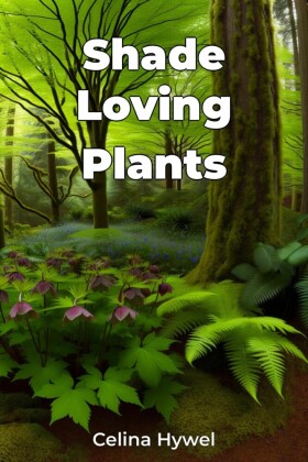 Shade Loving Plants