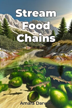 Stream Food Chains