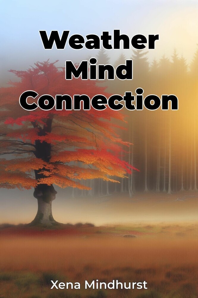 Weather Mind Connection main product photo