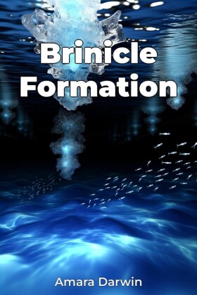 Brinicle Formation