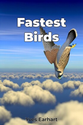 Fastest Birds