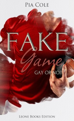 Fake Game: Gay or not