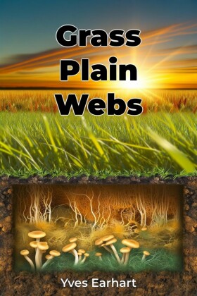 Grass Plain Webs