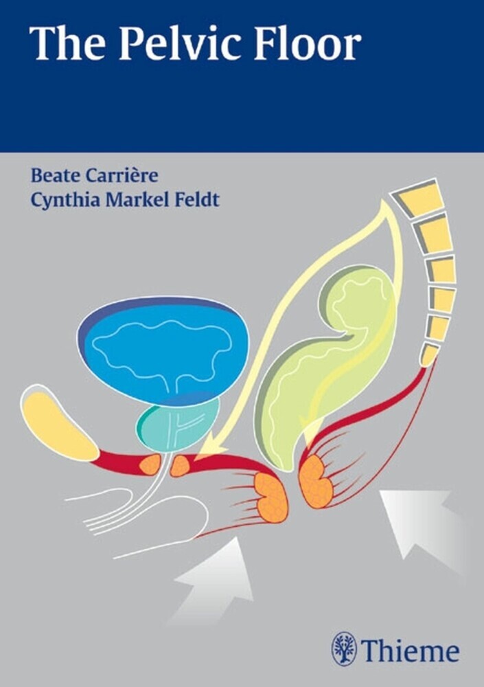The Pelvic Floor main product photo