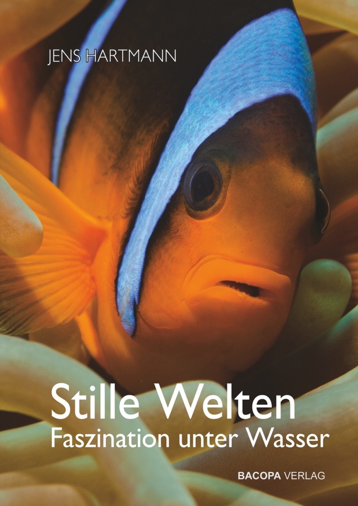Stille Welten main product photo