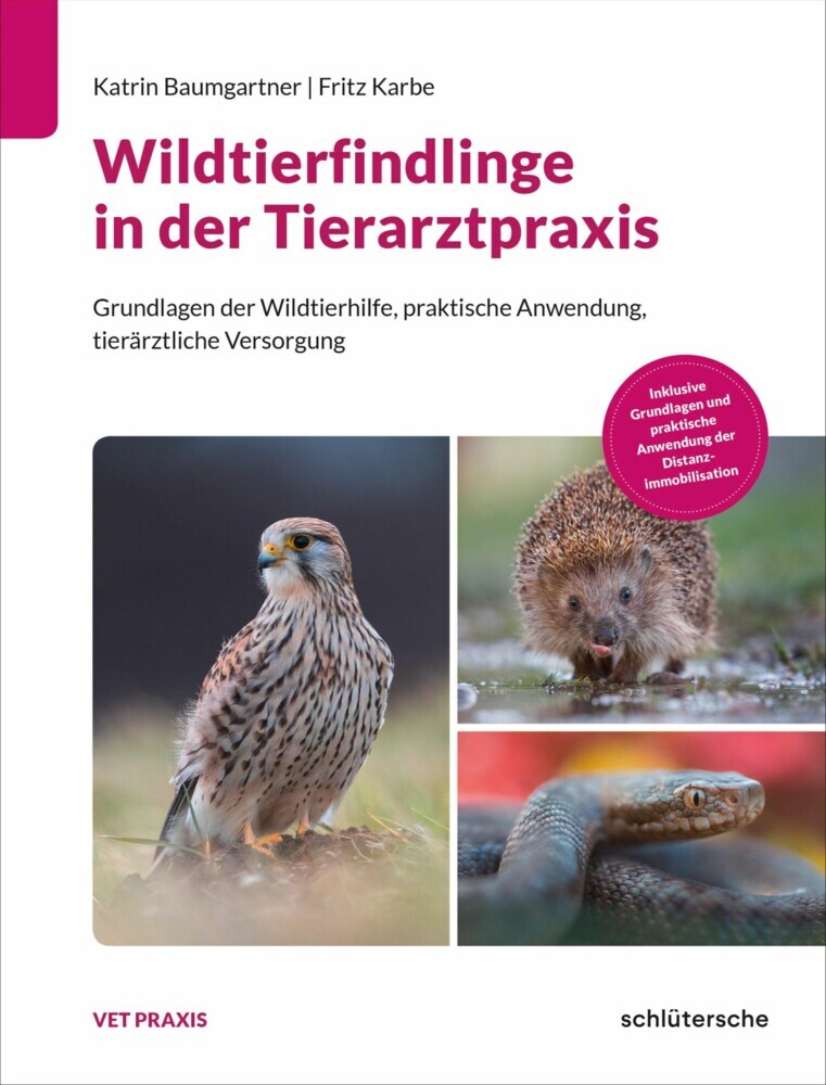 Wildtierfindlinge in der Tierarztpraxis main product photo