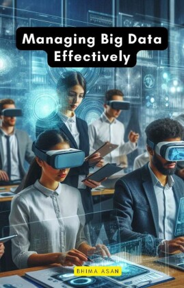 Managing Big Data Effectively