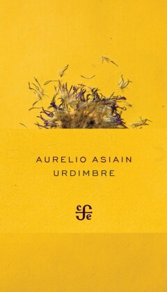 Urdimbre