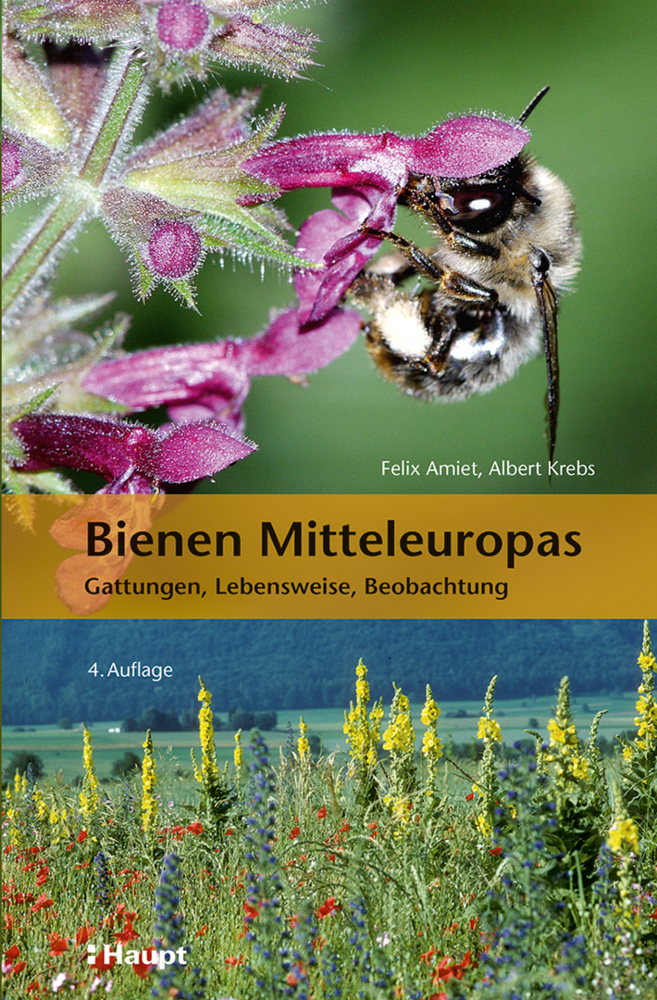 Bienen Mitteleuropas main product photo