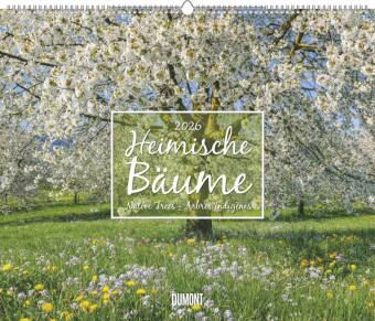 Heimische Bäume 2026 - Wandkalender 60x50 cm - Spiralbindung