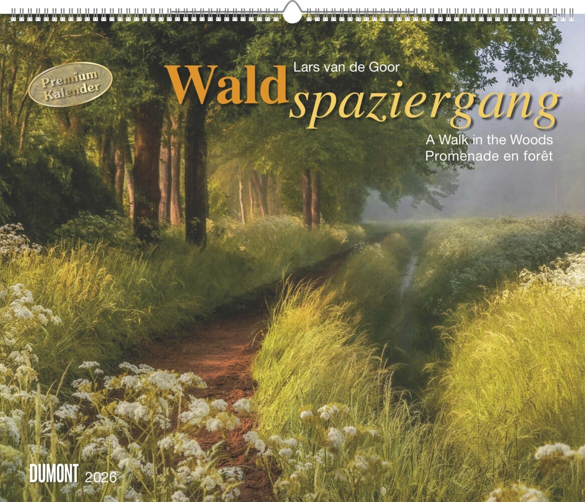 Waldspaziergang 2026 - Fotokunst-Kalender - Querformat 60 x 50 cm - Spiralbindung main product photo